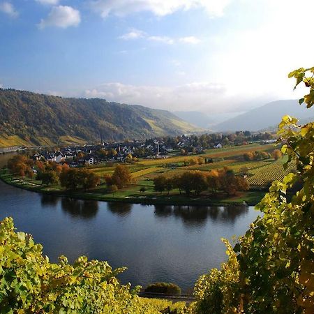 York Cottage Traben-Trarbach Ngoại thất bức ảnh