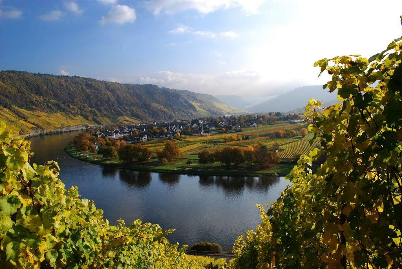 York Cottage Traben-Trarbach Ngoại thất bức ảnh